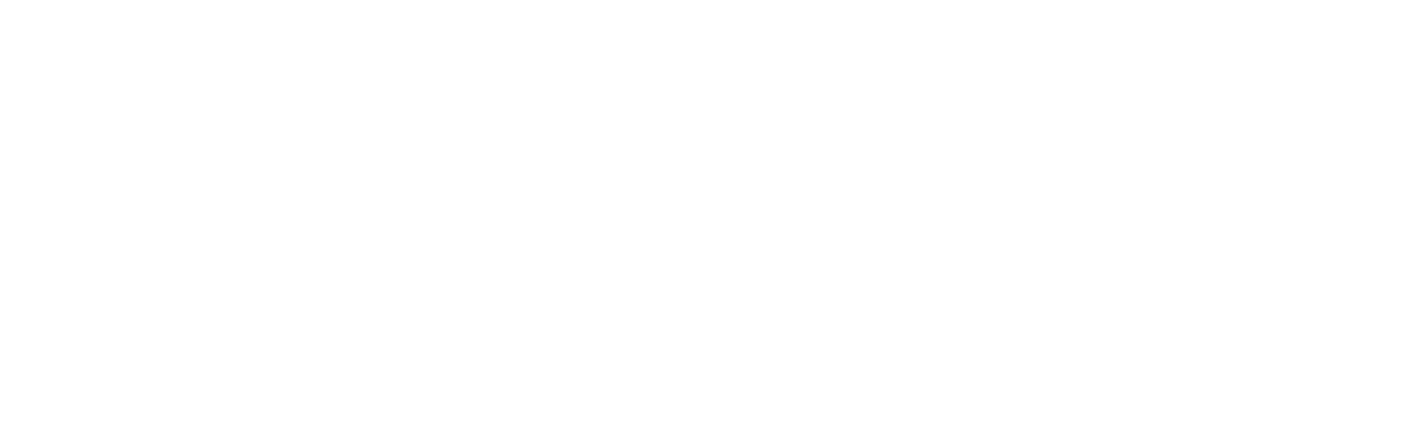RFF — Rīgas Farmaceitiskā Fabrika