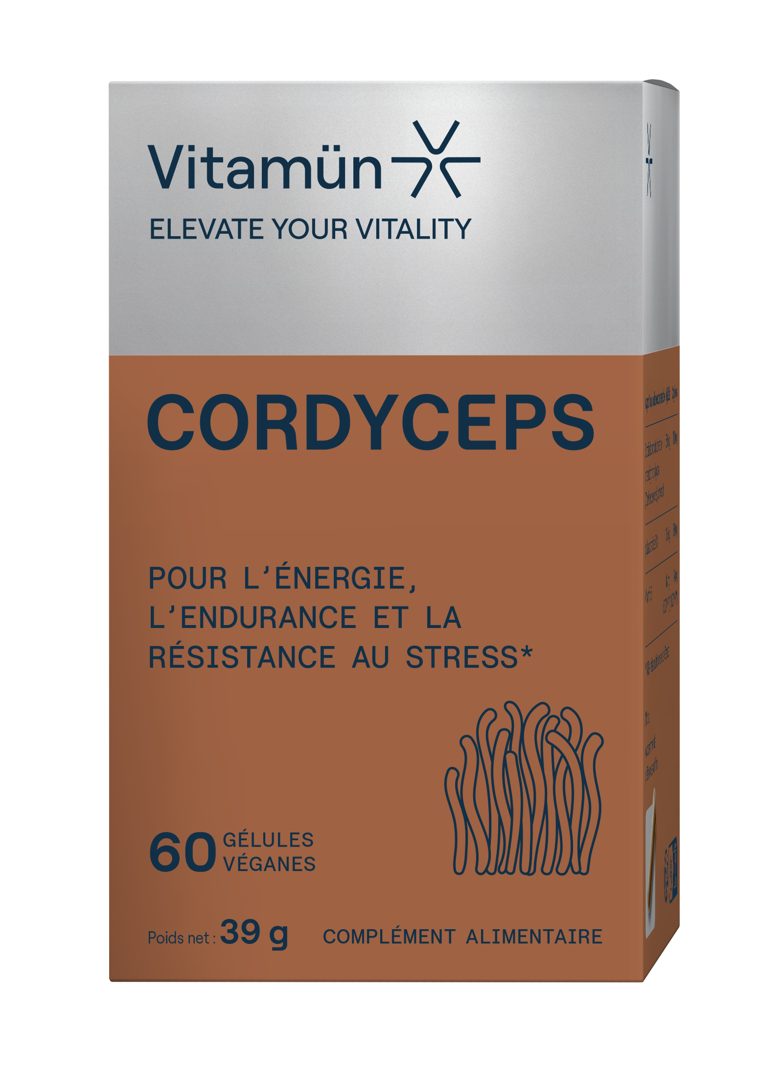 Cordyceps boîte