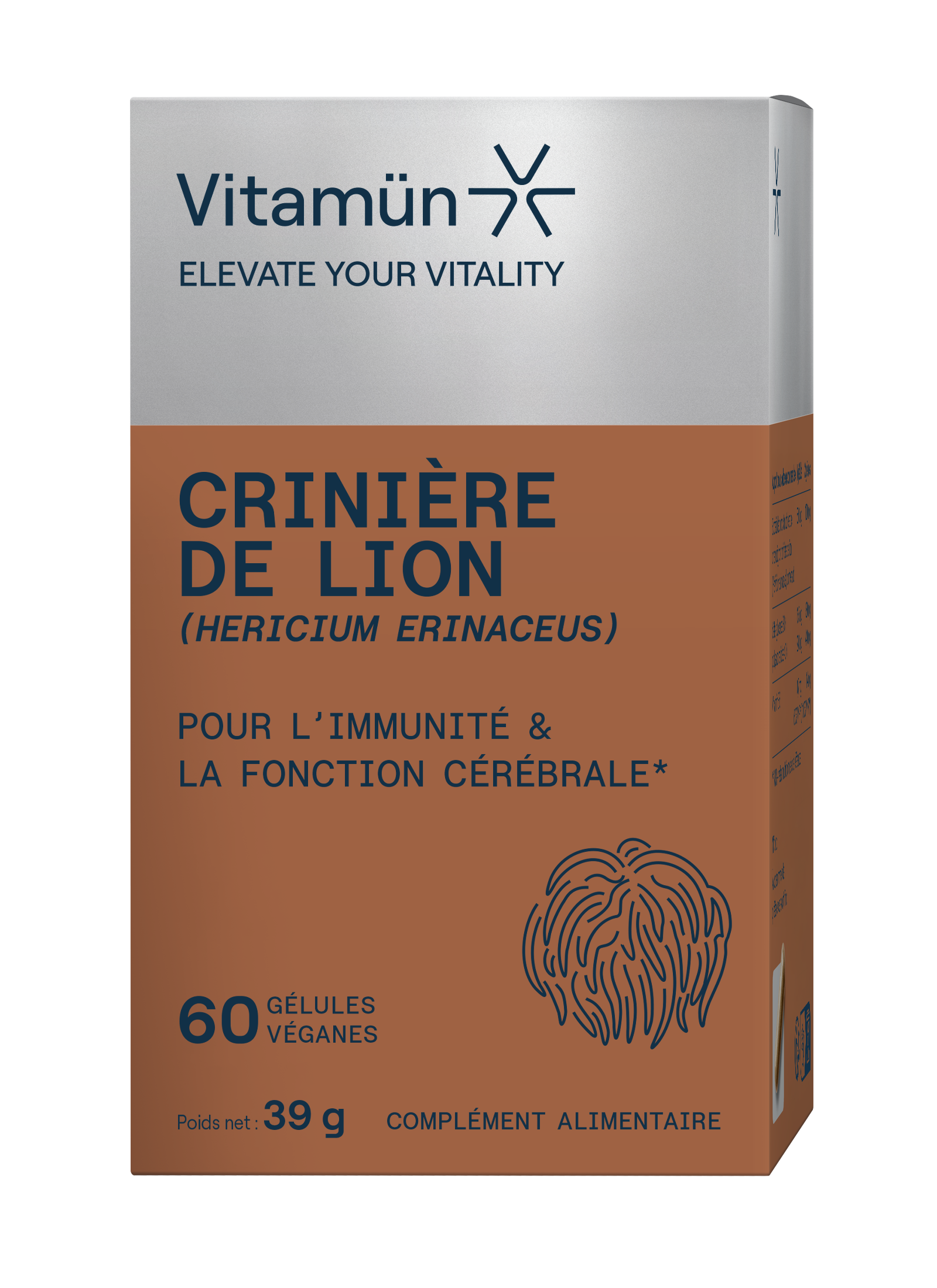 Crinière de Lion boîte